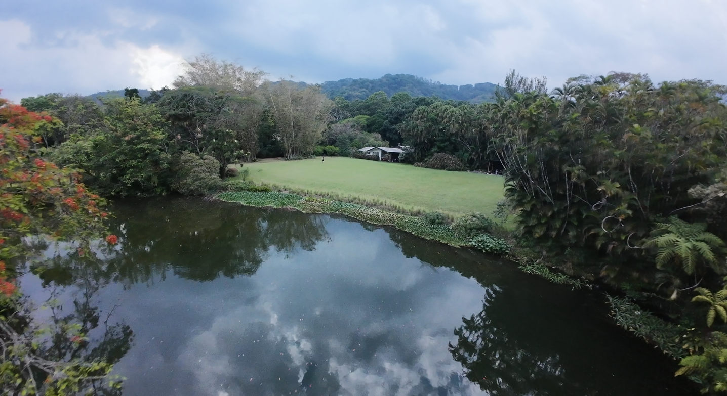 Top-down view of an alpine lake surrounded by autumn trees